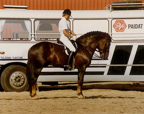 Itso oli Heikki Haapalan elämän hevonen.