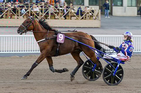 Kaptah ravasi 75 000 kruunun ykkösen. Kuva: HU arkisto/Anu Leppänen