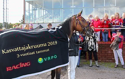 Mascate Match voittaa myös Kasvattajakruunun välierän.
