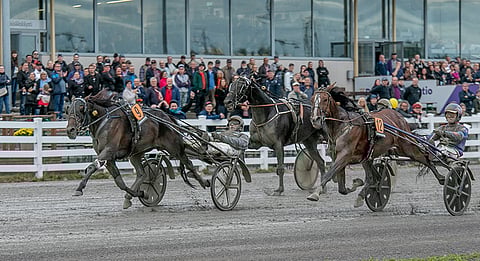 Petteri Joen ajama Mr Golden Quick ohitti Sobel Conwayn.