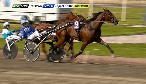 Racing Brodda kirii tammaderbyn voittoon. Kuva: ATG Live