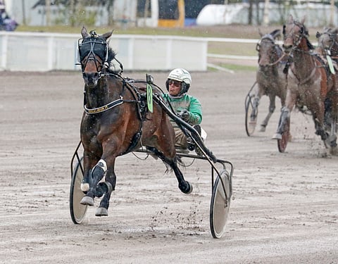Excalibur It starttaa Teivossa uansa 80. kilpailun.  Voitto tänään kahden tuhannen euron ykköspalkinnosta saattasi ruunan enää 1 751 euron päähän 100 000 euron voittosummasta.