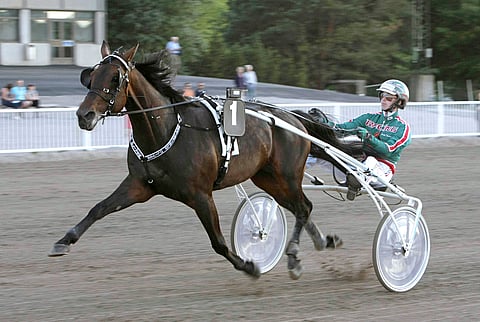 Riviin mahtuu tällä kertaa kaksi varmaa ja ensimmäinen niistä on kuvan Grainfield Oliver. 9-vuotias ruuna pääsee starttamaan pienelle, kahden poisjäännin myötä vain kuuden hevosen mailille radalta 1. Ruunaa ohjastaa tänään Olli Koivunen.