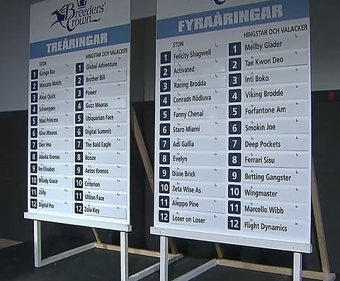 Breeders' Crown -finaalien lähtöradat on valittu: Kuva: Video på Solvalla