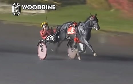 Ensin ykkönen ja sitten tulivat muut. Bold Eagle voitti Breedersin helposti.  Kuva: Woodbine replays)