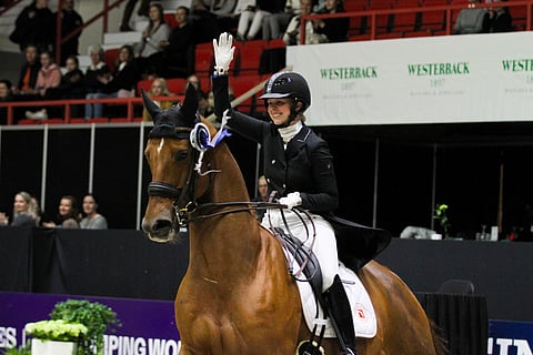 Denzel  ja von Wendt Horse Show´ssa 2019.