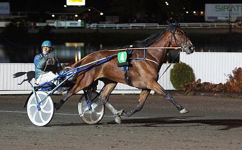 Antti Ala-Rantalan ohjastama ja valmentama M.T.Master Don ravasi jo vuoden seitsemännen voittonsa.