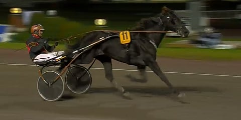 Milliondollarrhyme tykitti loppusuoraa omaa vauhtiaan. Kuva: ATG Live