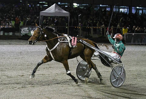 Kolme voittoa Toto75-kohteissa ajanut Hannu Torvinen pääsi tuulettamaan Stonecapes Queilan rattailla.