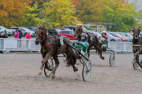 Vixen erkani maalisuoralla omille teilleen.