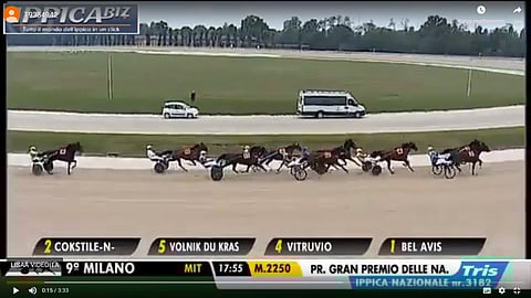 Milanon Gran Premio delle Nazioni ravattiin sunnuntaina 6-vuotiaan norjalaisravuri Cokstilen tahtiin. Kuva SNAI Maura Live