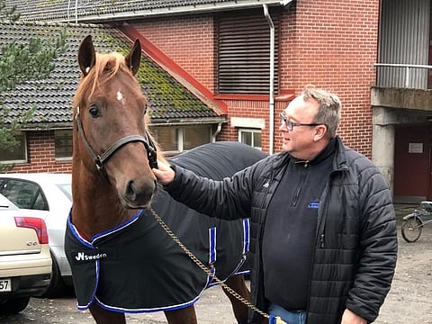 Ypäjä Norppa muutti Jokimaalta Hollolaan lähemmäs Esa ja Sarianna Hietakangasta.
