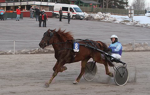 Arvon Herra (kuvassa Reijo Vainikan ajamana) on yksi Magic Mondayn ideahevosista.