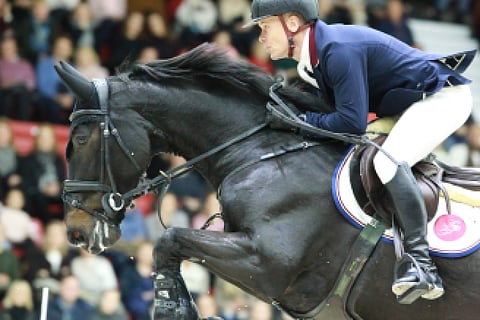 Syytä Nabab's Atlanton huonoon suorittamiseen haetaan kotitallilla Riesenbeckissä eläinlääkärin avulla.