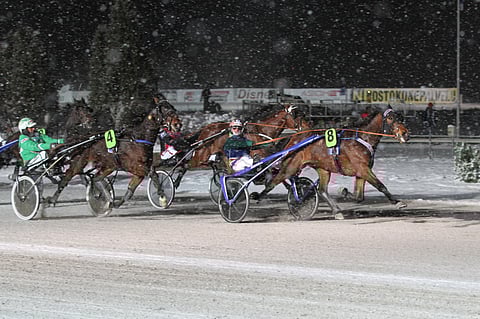 Viime vuonna 3-vuotiaiden oriiden ja ruunien Kasvattajakruunun Hannu Torvisen ohjastamana voittanut Marschall Match pyrkii toistamaan tempun reilun puolentoista viikon päästä Jyväskylässä.