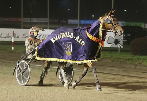 Kouvola-ajon voittanut Zultanio kilpailee illan pankkina.
