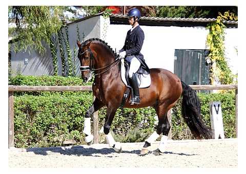 João Torrao ja lusitano-ori Equador.
