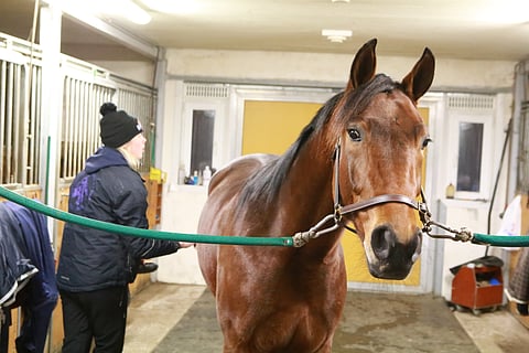 Jonna Irrin ja Marschall Matchin tiet eivät eroa ainakaan välittömästi.