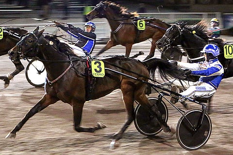 Mr Hot Shotin edellinen voitto tuli Vermossa lokakuun alussa.