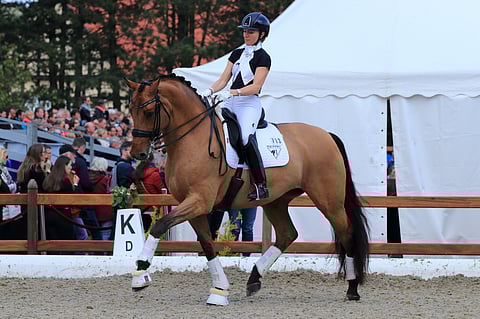 New Hill Julitrea on majesteettinen tamma.