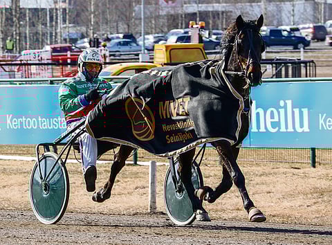 Troopers kelpaa Teivon ideavarmaksi.