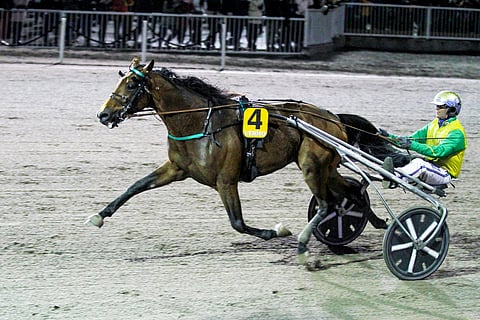 Face Time Bourbon voitti Vermossa viime vuonna. Kuva: Roosa Lindholm