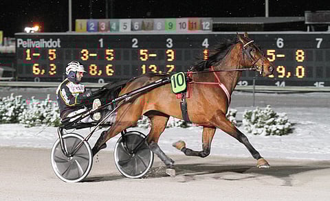 Bastian osallistui marraskuussa Kasvattajakruunun finaaliin Seppo Markkulan ajamana.