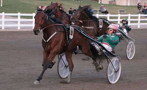 Hannu Torvinen ajoi Christa Packalenin valmentamaa Burnhill's Luckia.