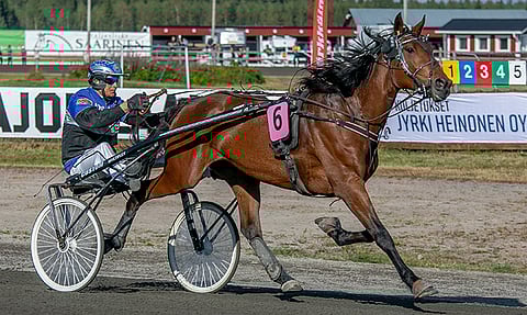 Feeling Classy on ideavihjeen varma. Arkistokuvassa tammaa ajaa Henri Bollström, tänään ohjissa on Ari Moilanen. Toto64-pelissä on ylimmälle voittoluokalle jaossa 50 000 euroa lisärahaa. Peliaika päättyy klo 15.10.