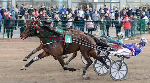 Freelancerin uran voittosummaksi jäi 71 827 euroa ja ennätykseksi 11,6.