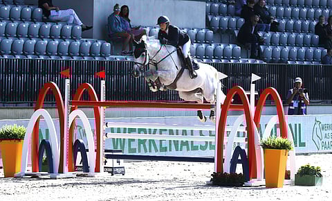 Juulia Jyläs ja Courage T Z Rotterdamissa.