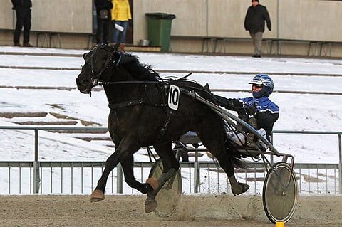 Viime talvena Lappeenrannan 75-kierroksella yllättänyt Ranch Pronto muutti viikonloppuna Tamara Skutnabbin hoiviin Bergsåkerin Wolmsta Gårdiin.