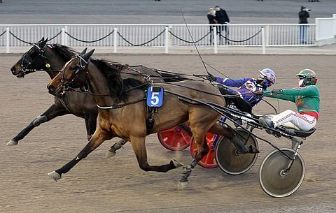 Prada Nights on aloittanut Harri Koivusen tallista kahdella voitolla. Vermossa kuun alussa se kiri 1.11-vauhtia ja tavoitti johtaneen Daisy Nashin juuri ennen linjaa.