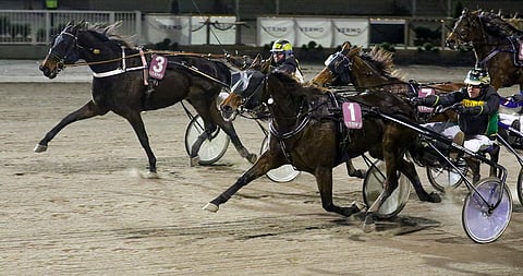 Ilkka Korven ajama Firemaker voitti vuoden alussa Vermossa niukasti ennen ulkoa kirinyttä Five Finger Crawlia.