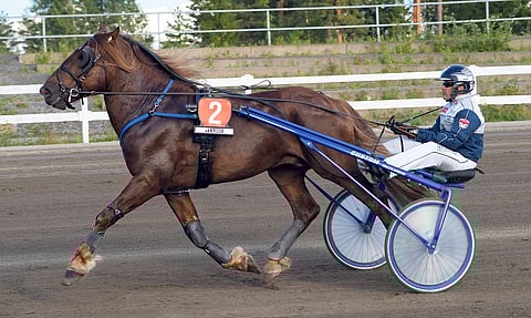 Ohjastaja Jani Ruotsalainen myös valmentaa Hamboa.