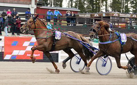 Vasta loppusuoralla kärkikahinoihin noussut Sheikki ohitti viimeisenä Evartin.