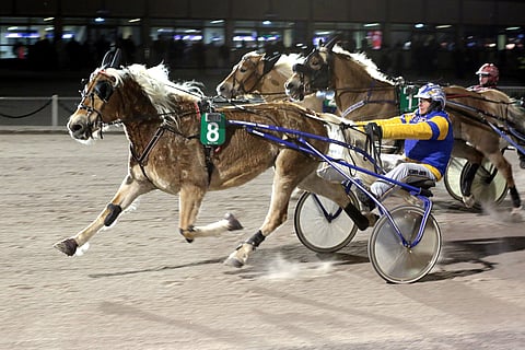Terho Rautiaisen valmentama ja ohjastama Elias Juonetar ei erehtynyt keulaan päästyään.