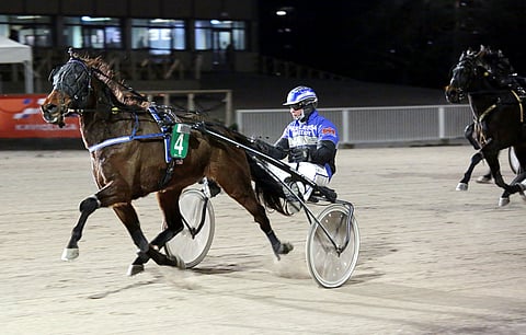 Henri Bollströmin kuskaama Sahara Sandstorm erkani lopussa muista.