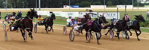 Australiassa pelikohteina ovat ravureiden ohella myös peitsarit.