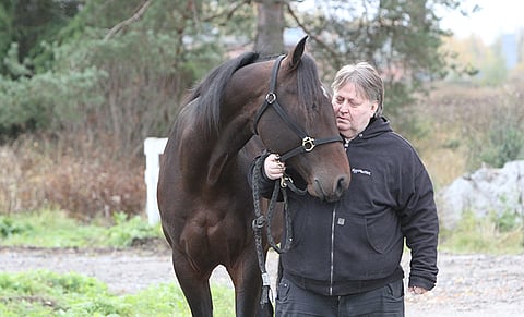 Everest De Ginai on yksi niistä kolmesta hevosesta, jotka siirtyivät viime viikolla Uumajaan Mika Haapakankaan talliin.