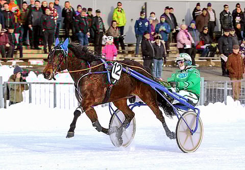 Ice Winen kanssa tähdätään talvikauteen.