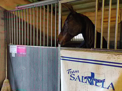 Makethemarkin kauden avauskilpailu lähestyy Ruotsissa. Vielä ei ole tiedossa, koska St Michelin sankari kilpailee seuraavan kerran Suomessa. Kuva Totofoto