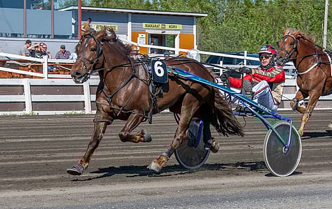 Tuulenpoju on osannut voittaakin, sillä on 68 startista 18 ykköstä, mutta mieli on tehnyt turhan usein nopeasti takaisin varikolle. Arkistokuva: Jari Piirala