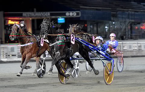 Chief Orlando juoksi 09,8a Rikard N Skoglundin ajamana. Kuva: Lars Jakobsson, TR Bild.