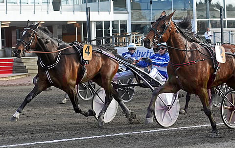 Tänä keväänä Paralympiaravien finaalin voittajina juhlittiin Elian Webiä ja Jorma Kontiota.