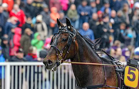 Elian Web. Kuva: Anu Leppänen