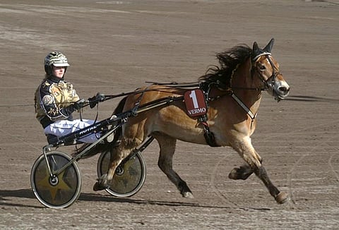 Jenny Suomela päätti riisua Jarmon kisakengät ja siirtää sen eläkepäivien viettoon.