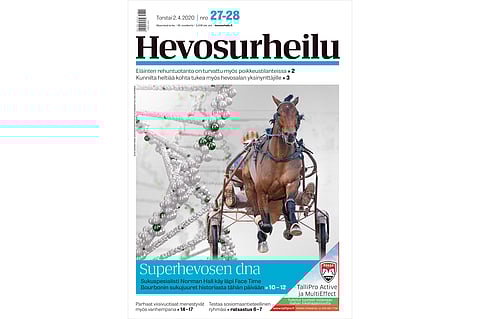 Superhevosen rakennusaineet? Kannen kuvan muokkaus: Anu Leppänen