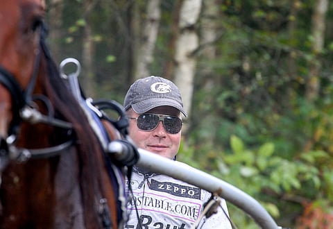 Matias Salon talli on kovassa iskussa, ja uusia mielenkiintoisia hevosia tulee jatkuvasti lisääkin.