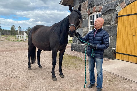 Savoy-kasvattaja Seppo Vanhakartano viimeisillään tiineenä olevan Love You So Muchin kanssa huhtikuussa 2020.